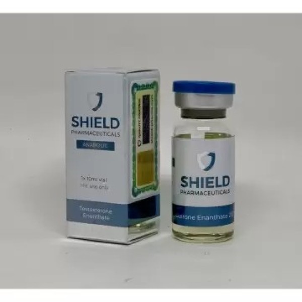 TESTOSTERONE ENANTHATE SHIELD PHARMA